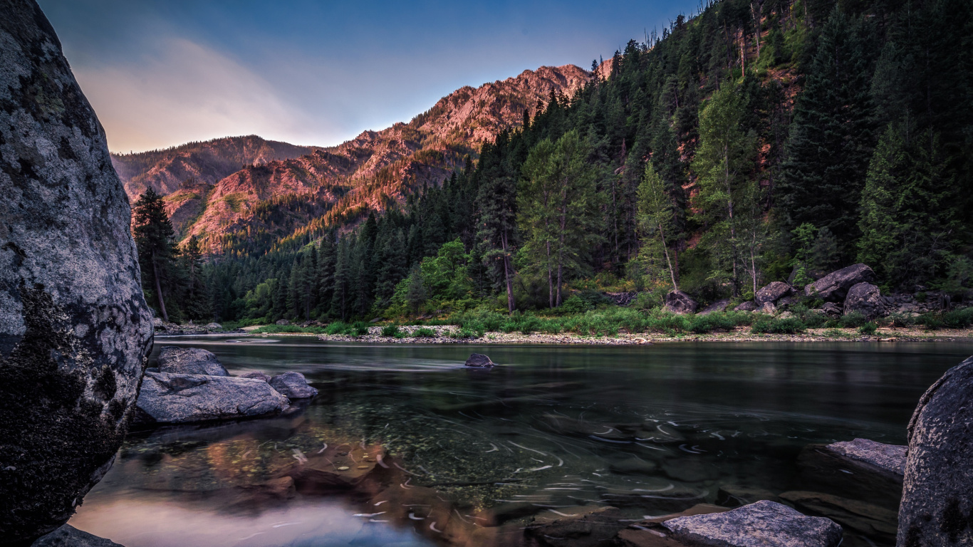 Обои отражение, дерево, природа, вода, реки в разрешении 1366x768