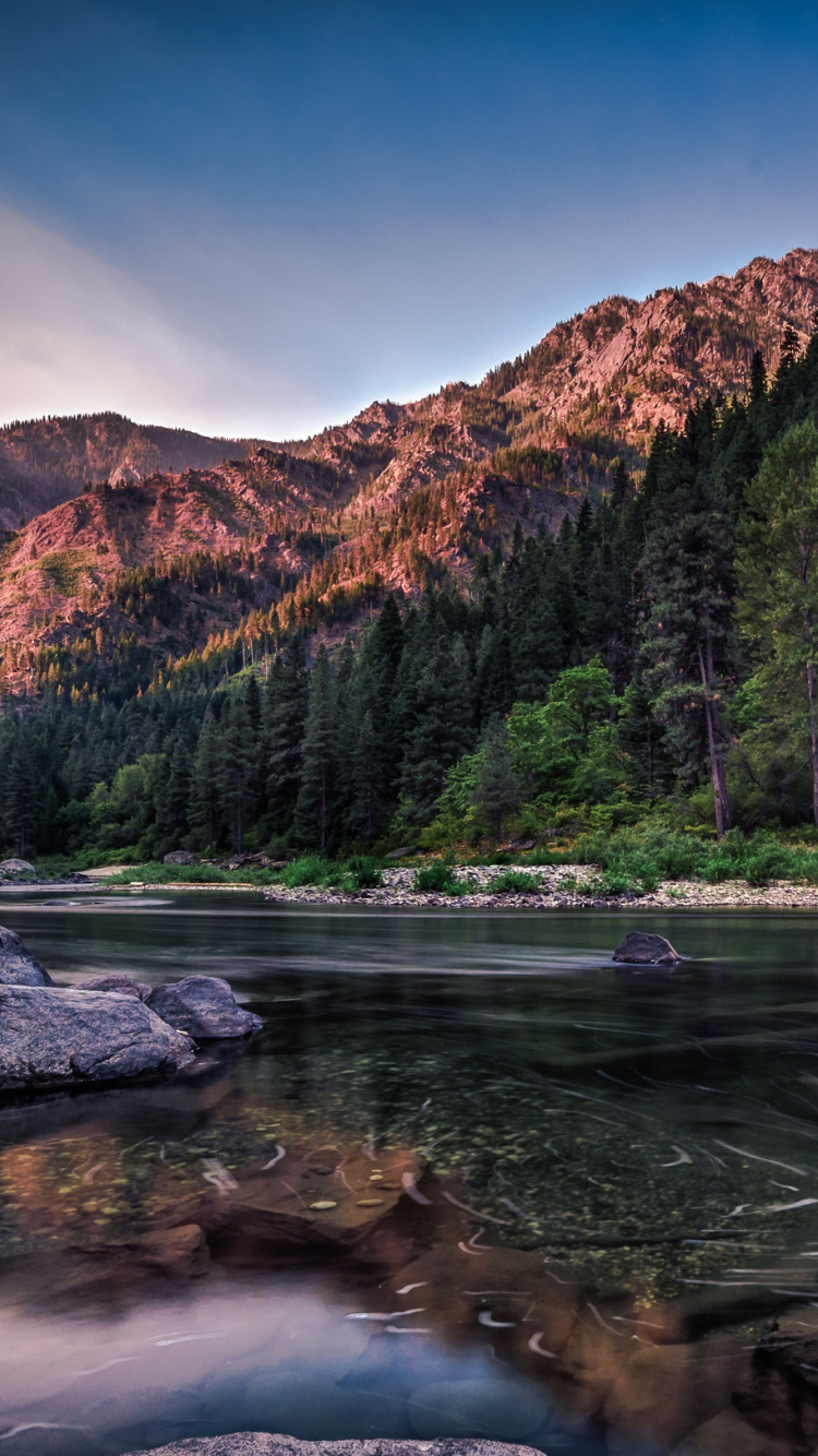 Обои отражение, дерево, природа, вода, реки в разрешении 750x1334