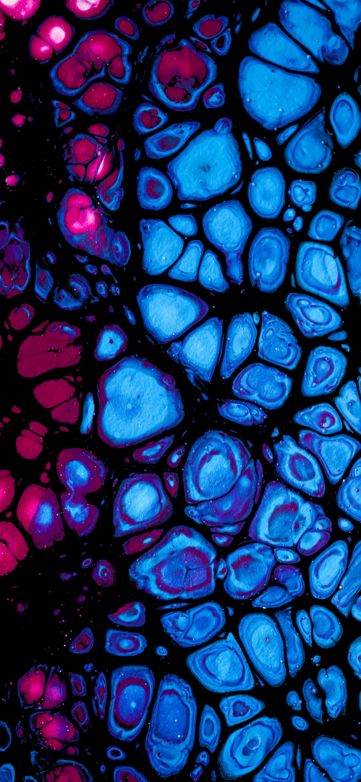 Обои синий кобальт, витраж, фрактальное искусство, арт, симметрия в разрешении 1242x2688