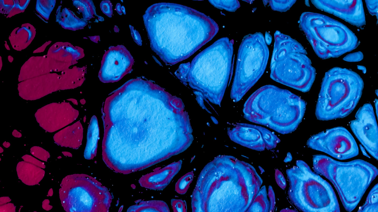 Обои синий кобальт, витраж, фрактальное искусство, арт, симметрия в разрешении 1280x720