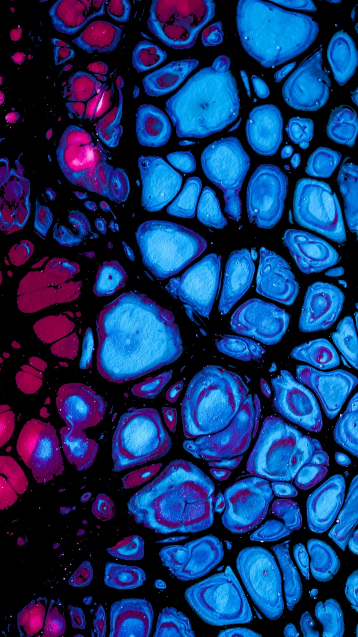 Обои синий кобальт, витраж, фрактальное искусство, арт, симметрия в разрешении 720x1280