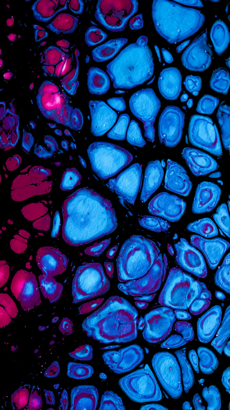 Обои синий кобальт, витраж, фрактальное искусство, арт, симметрия в разрешении 750x1334