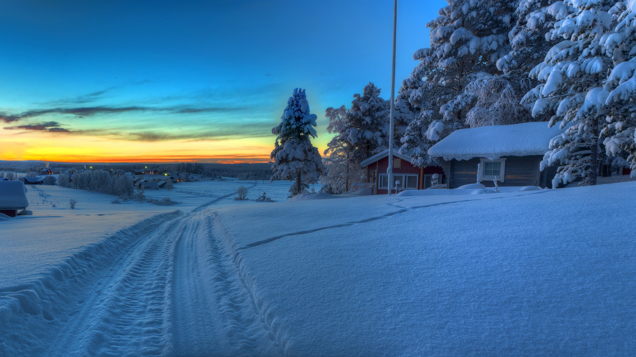 Обои зима, снег, замораживание, вечер, утро в разрешении 1280x720