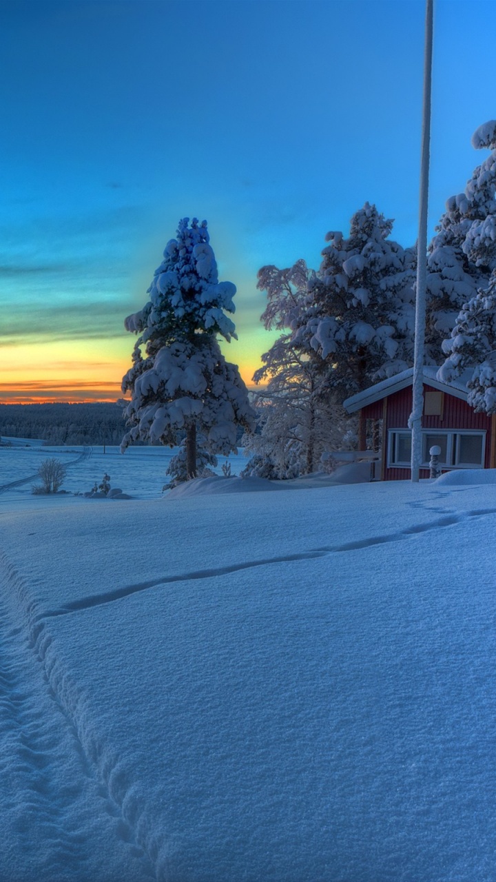 Обои зима, снег, замораживание, вечер, утро в разрешении 720x1280