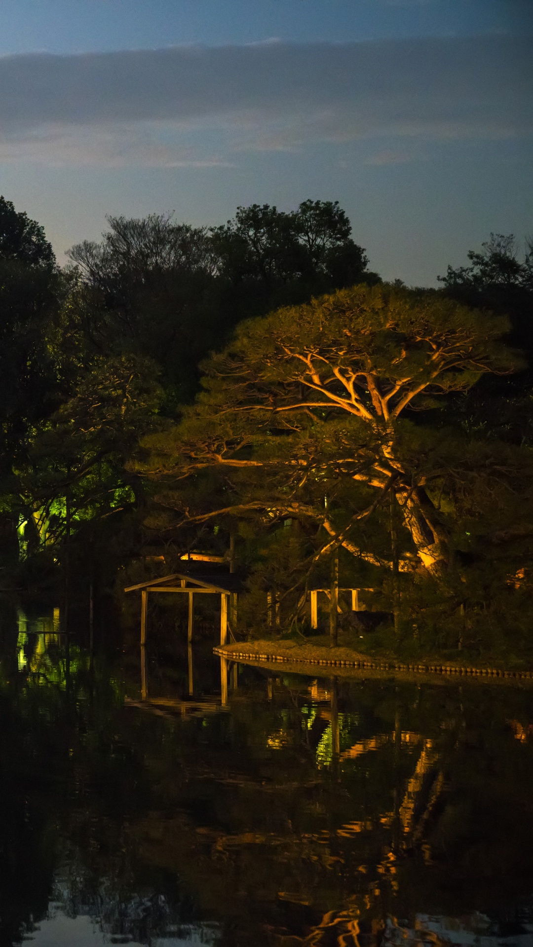 Обои отражение, Токио, ночь, природа, вода в разрешении 1080x1920