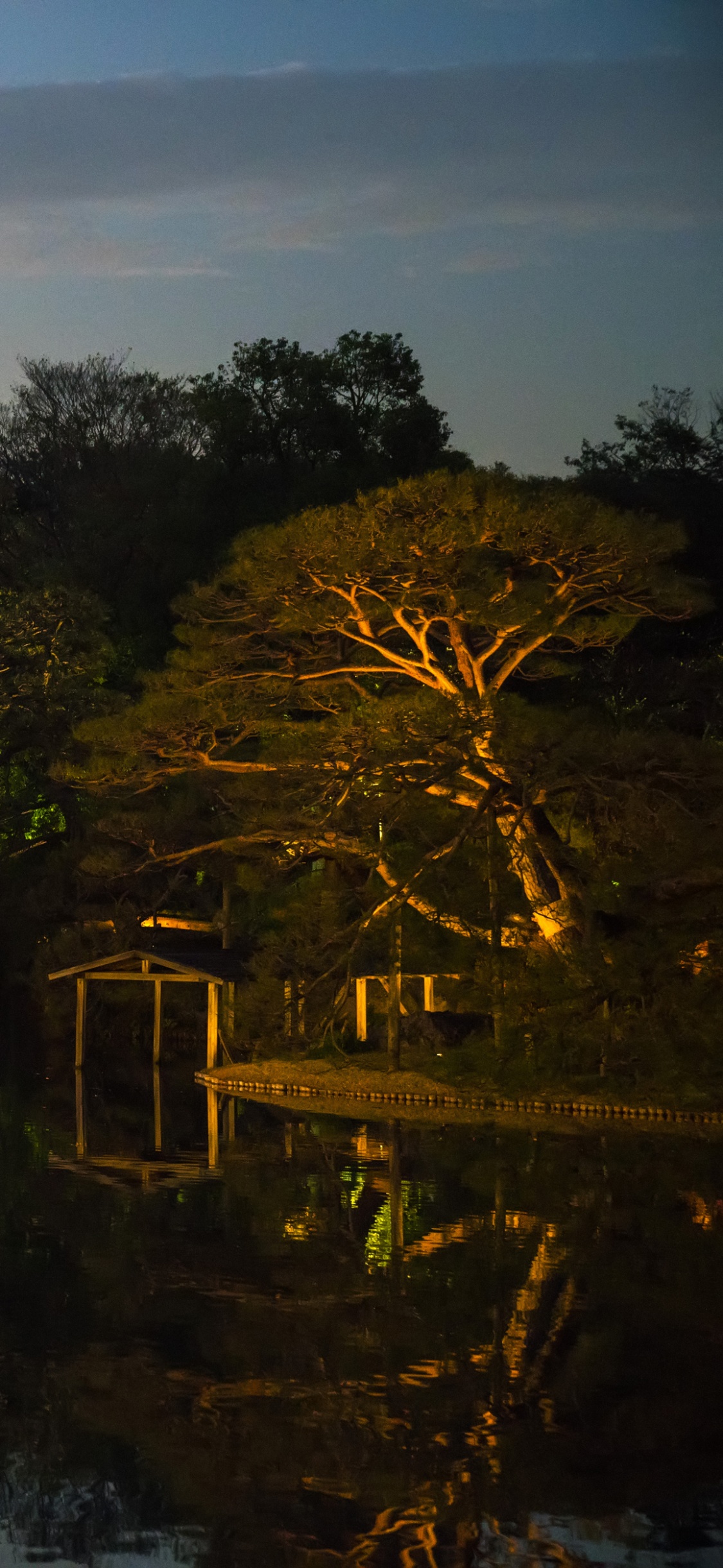 Обои отражение, Токио, ночь, природа, вода в разрешении 1125x2436