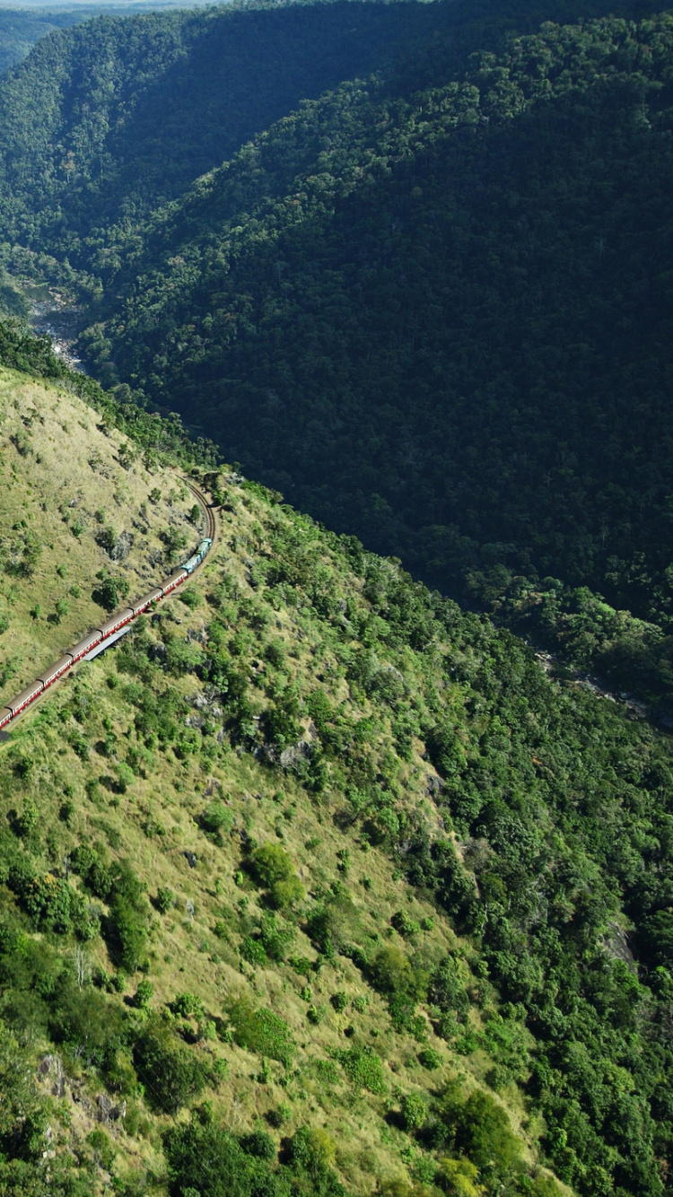 Обои растительность, нагорье, горная станция, природный заповедник, откос в разрешении 750x1334