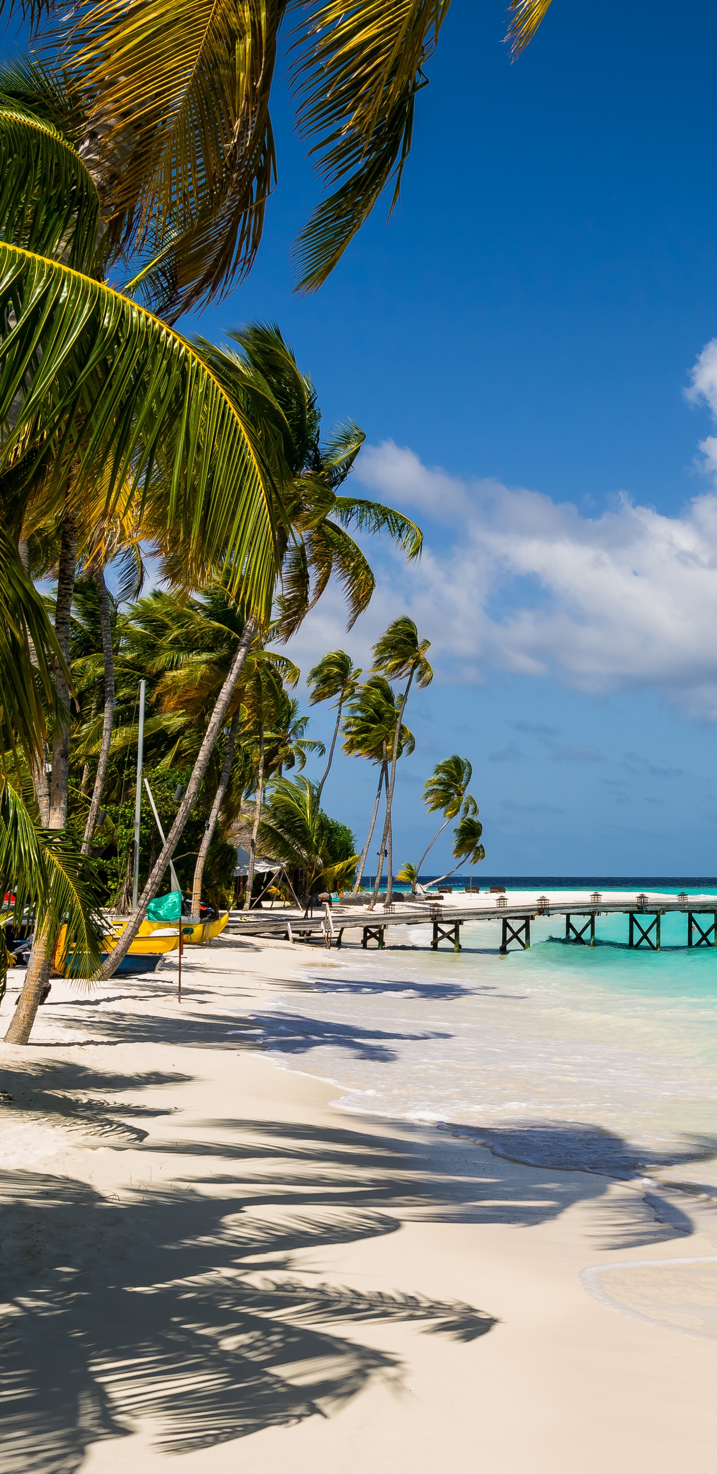 Обои прибежище, пляж, отпуск, тропическая зона, Карибский бассейн в разрешении 1440x2960