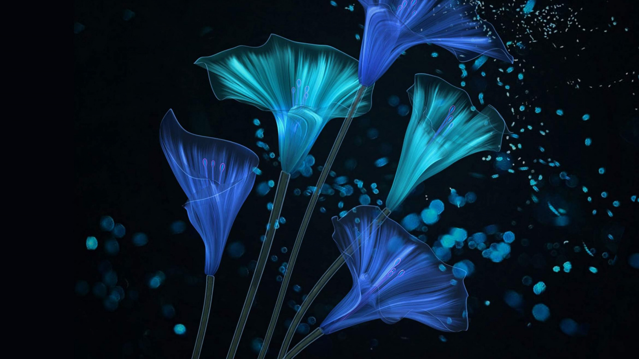 Обои Huawei, Honor Magic 2, честь magic2, смартфон, huawei honor 8a в разрешении 1280x720