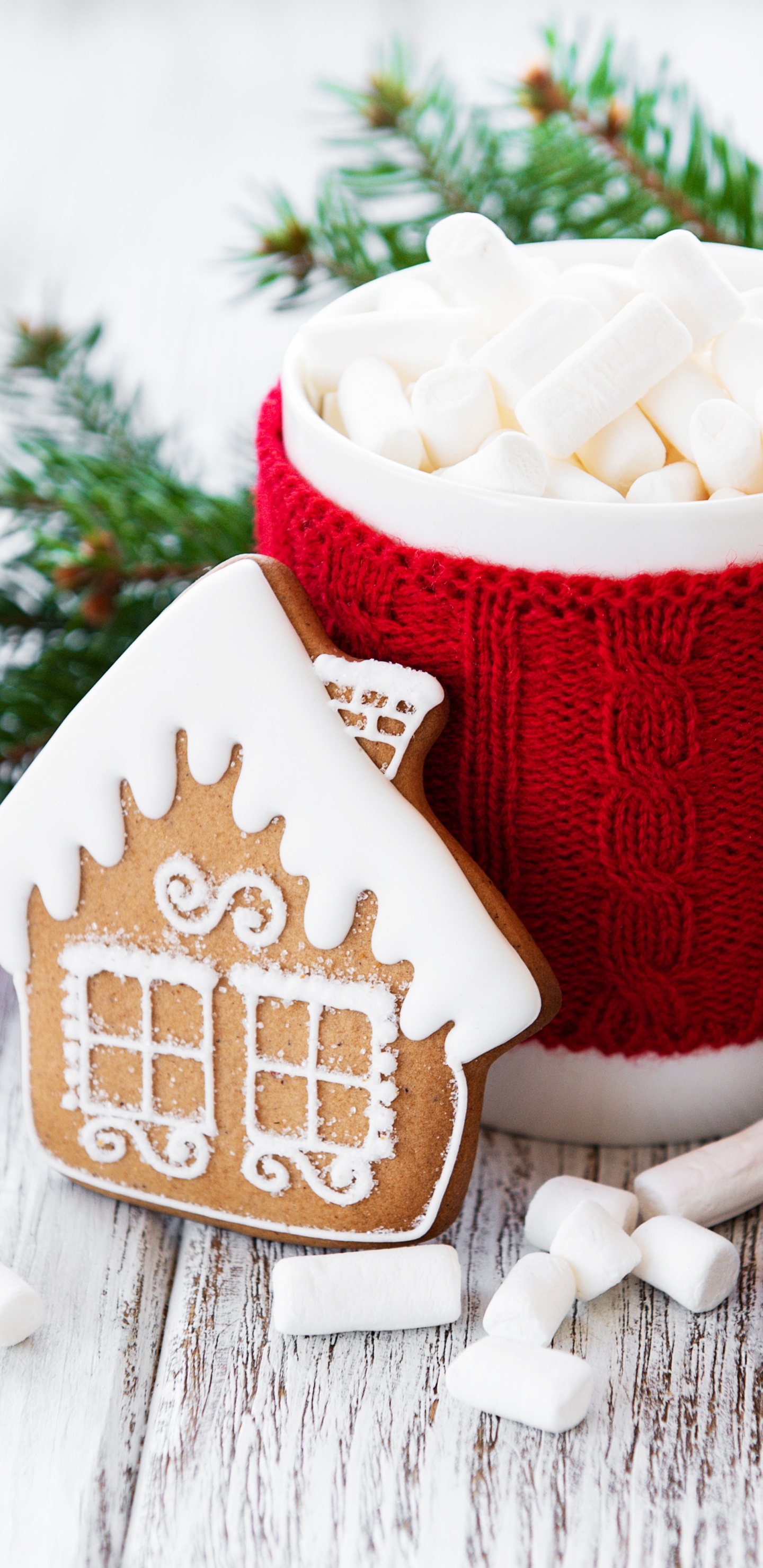 Обои кофейная чашка, посуда, чашка, ветвь, serveware в разрешении 1440x2960