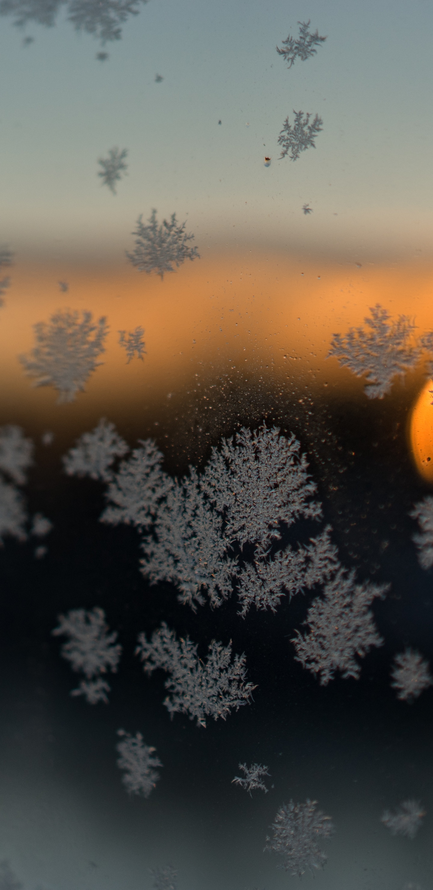 Обои облако, атмосфера, утро, восход солнца, солнечный свет в разрешении 1440x2960