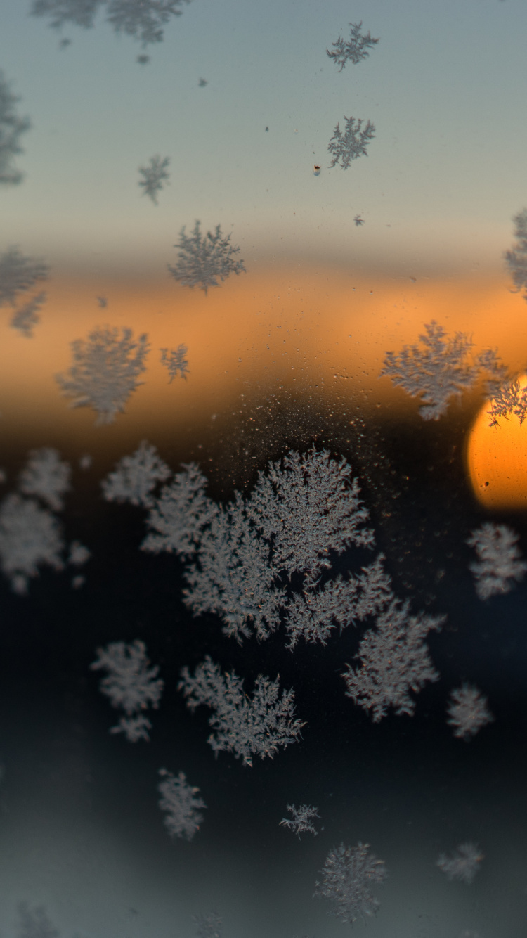 Обои облако, атмосфера, утро, восход солнца, солнечный свет в разрешении 750x1334