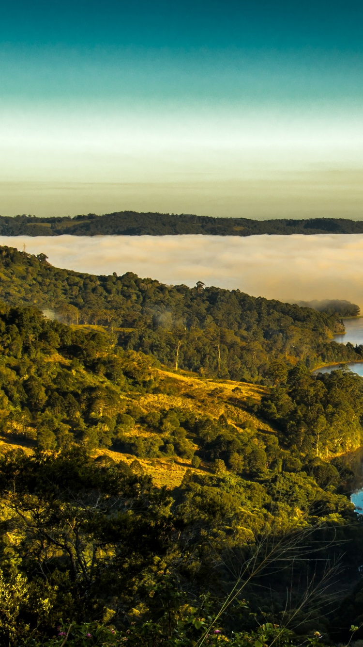 Обои природа, пейзаж, закат, живопись, вода в разрешении 750x1334