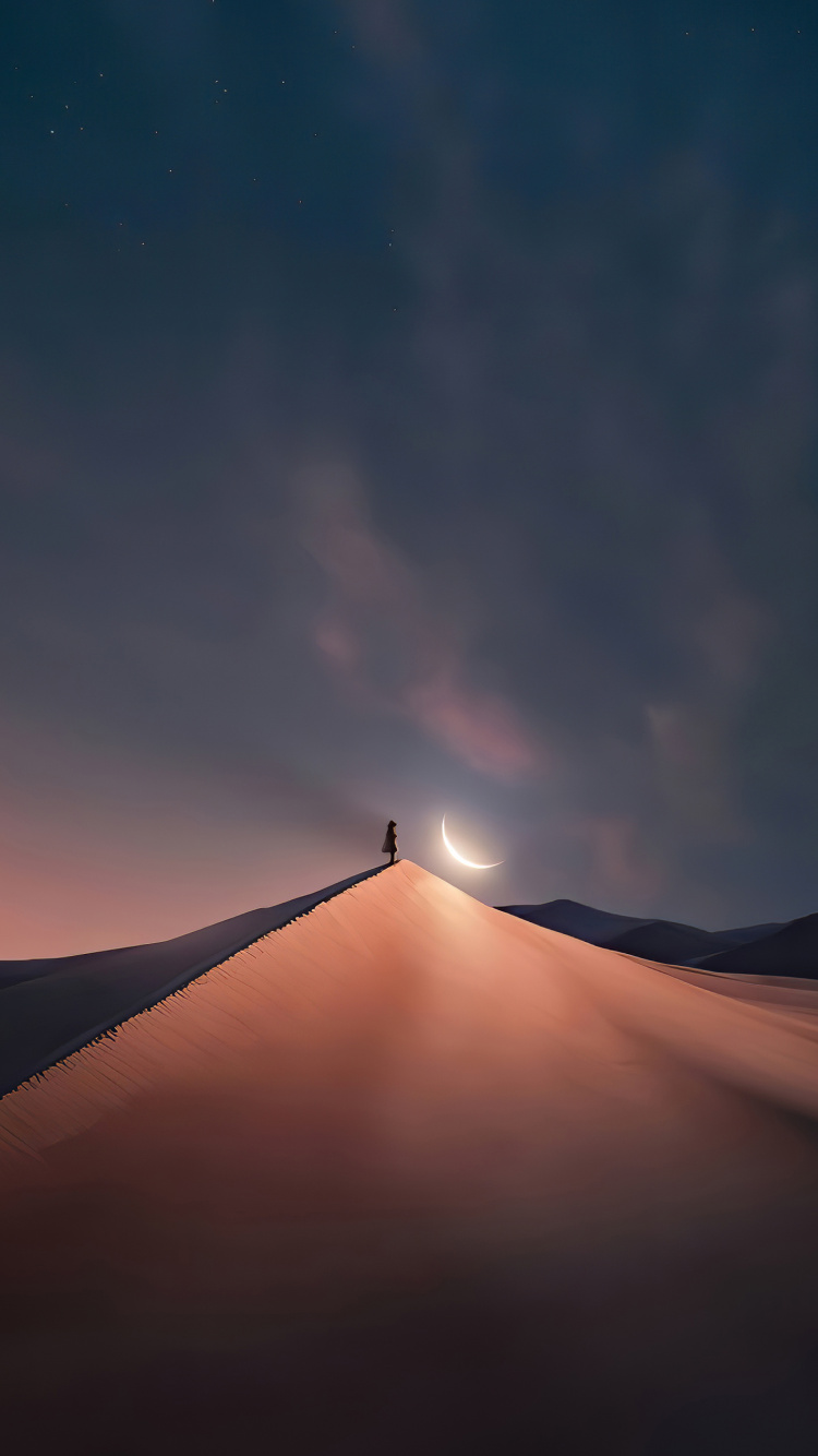 Обои луна ночное небо, лунный свет, ночное небо, Астрономия, ночь в разрешении 750x1334