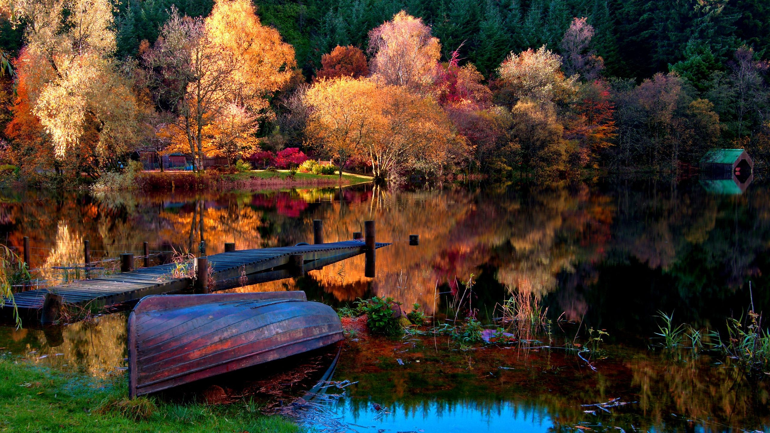 Обои осень, озеро, отражение, природа, природный ландшафт в разрешении 2560...