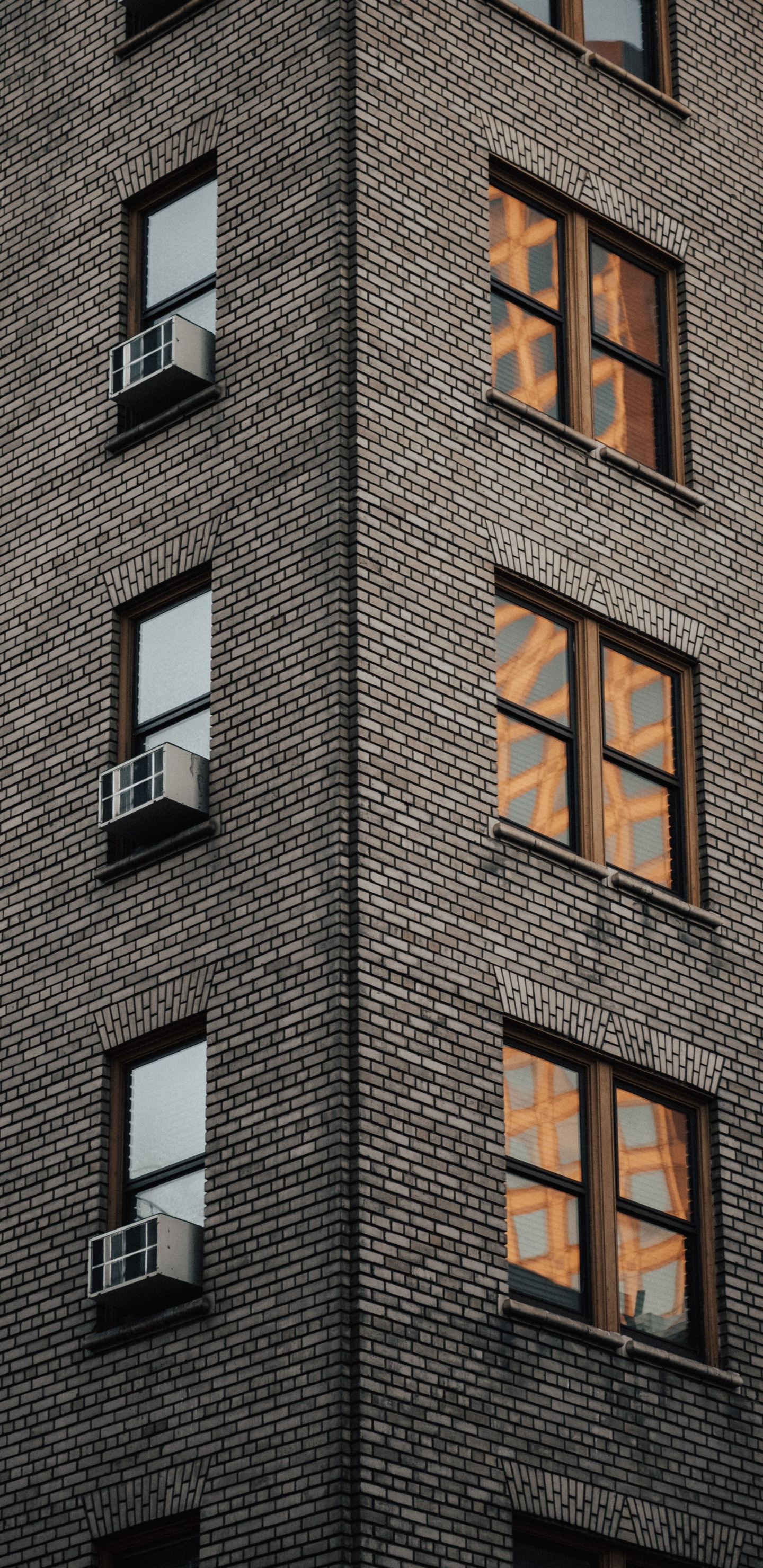 Обои Сан Франциско, городской район, здание, архитектура, окно в разрешении 1440x2960