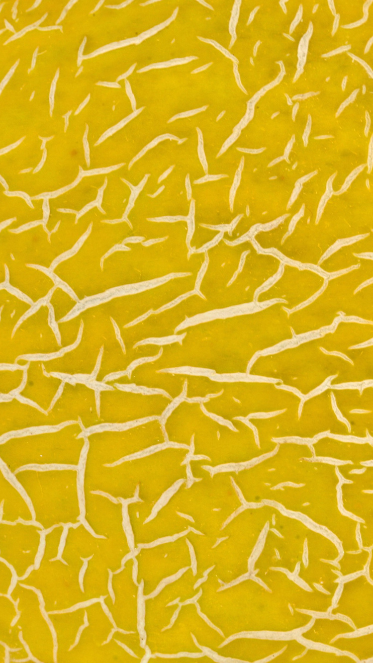 Обои фруктовые текстуры, фрукты, наложение текстуры, желтый, Апельсин в разрешении 750x1334