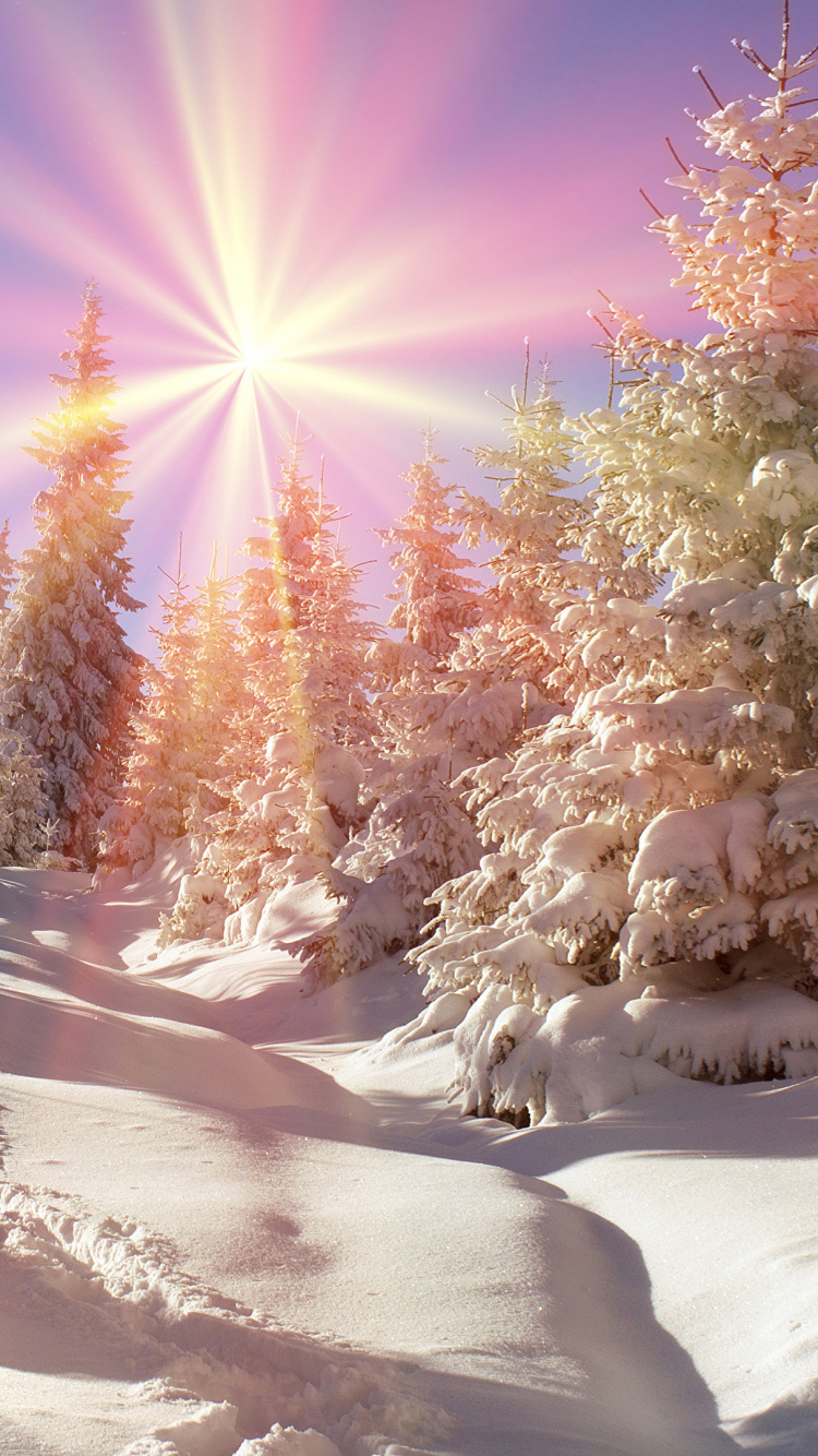 Обои зима, снег, природа, дерево, замораживание в разрешении 750x1334