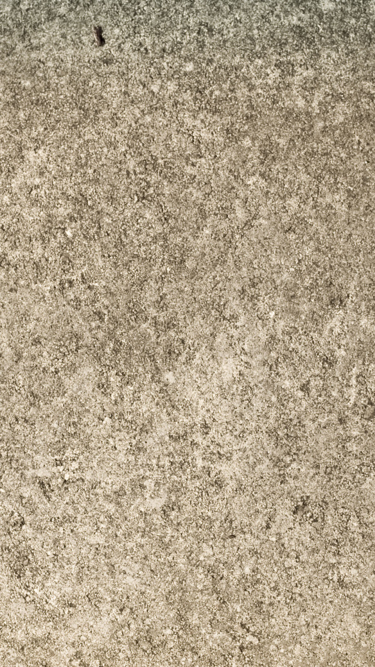 Обои почва, коричневый цвет, наложение текстуры, черный и белый, трава в разрешении 750x1334