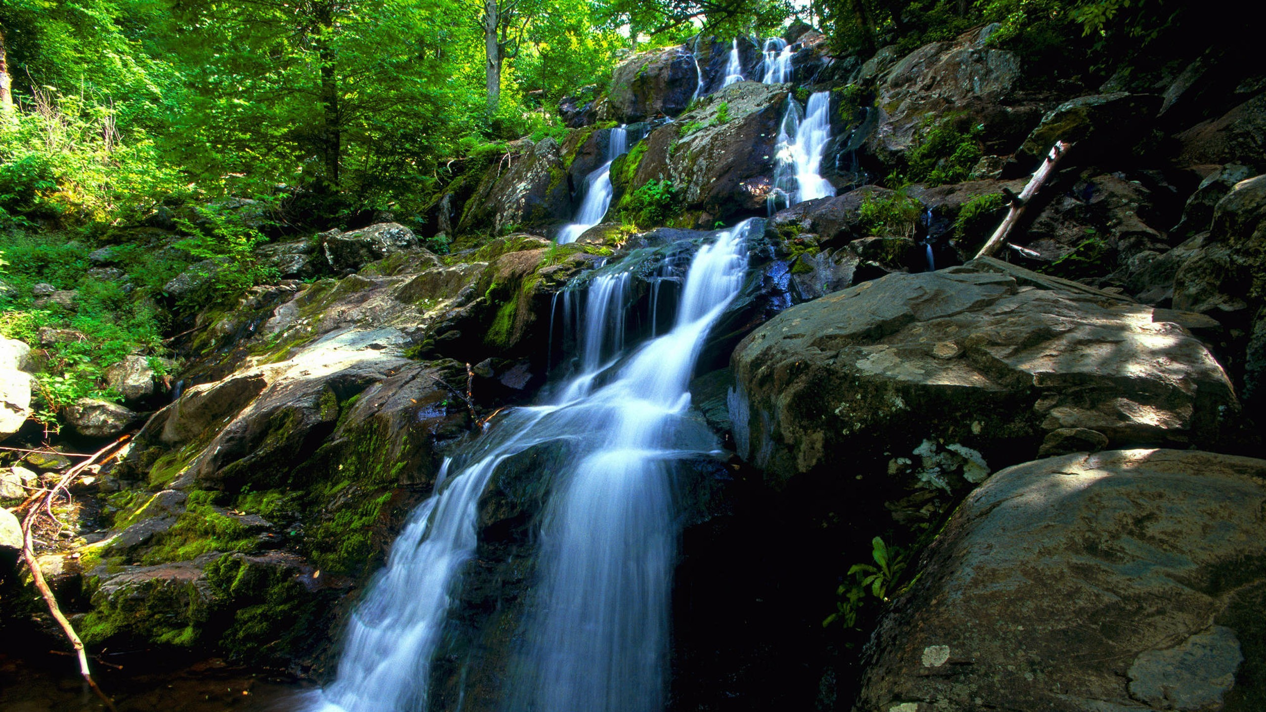Обои темные полые падает, американский водопад, водопад, гидроресурсы, водоем в разрешении 2560x1440