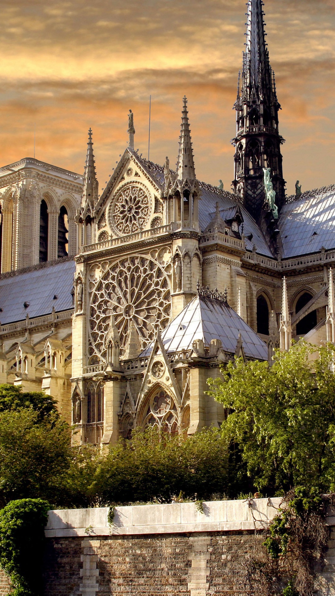 Обои НотрДам де Пари, собор, здание, место поклонения, средневековая архитектура в разрешении 1080x1920
