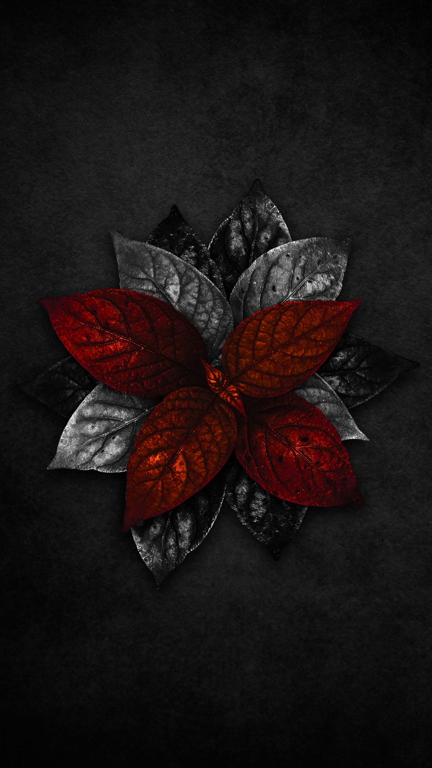 Обои цветок, лепесток, искусство, арт, узор в разрешении 1440x2560