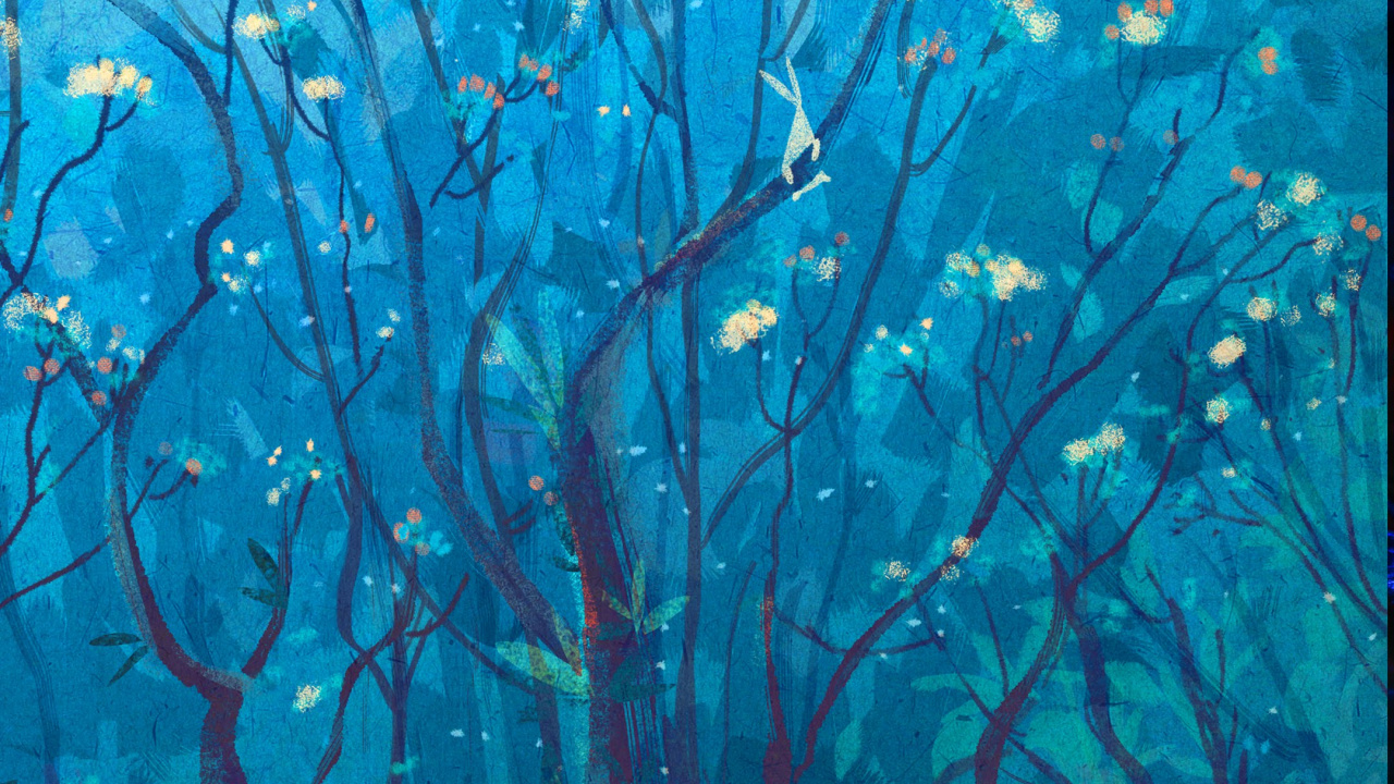 Обои Huawei, Huawei Nova, Huawei Nova 4, huawei nova 5t, Huawei Nova 3 в разрешении 1280x720