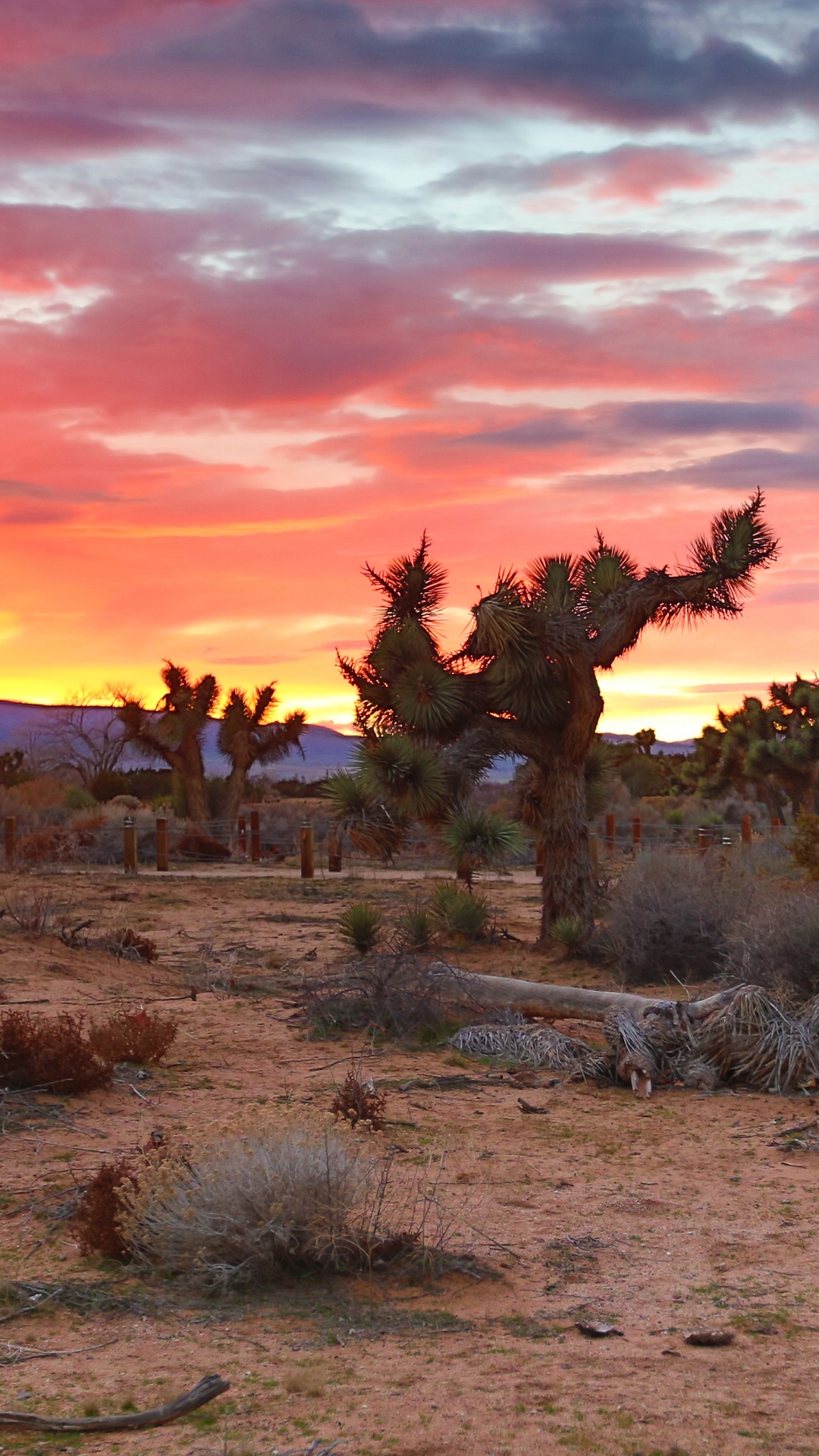 Обои Долины Антилопы, закат, пустыня, природа, природный ландшафт в разрешении 1080x1920