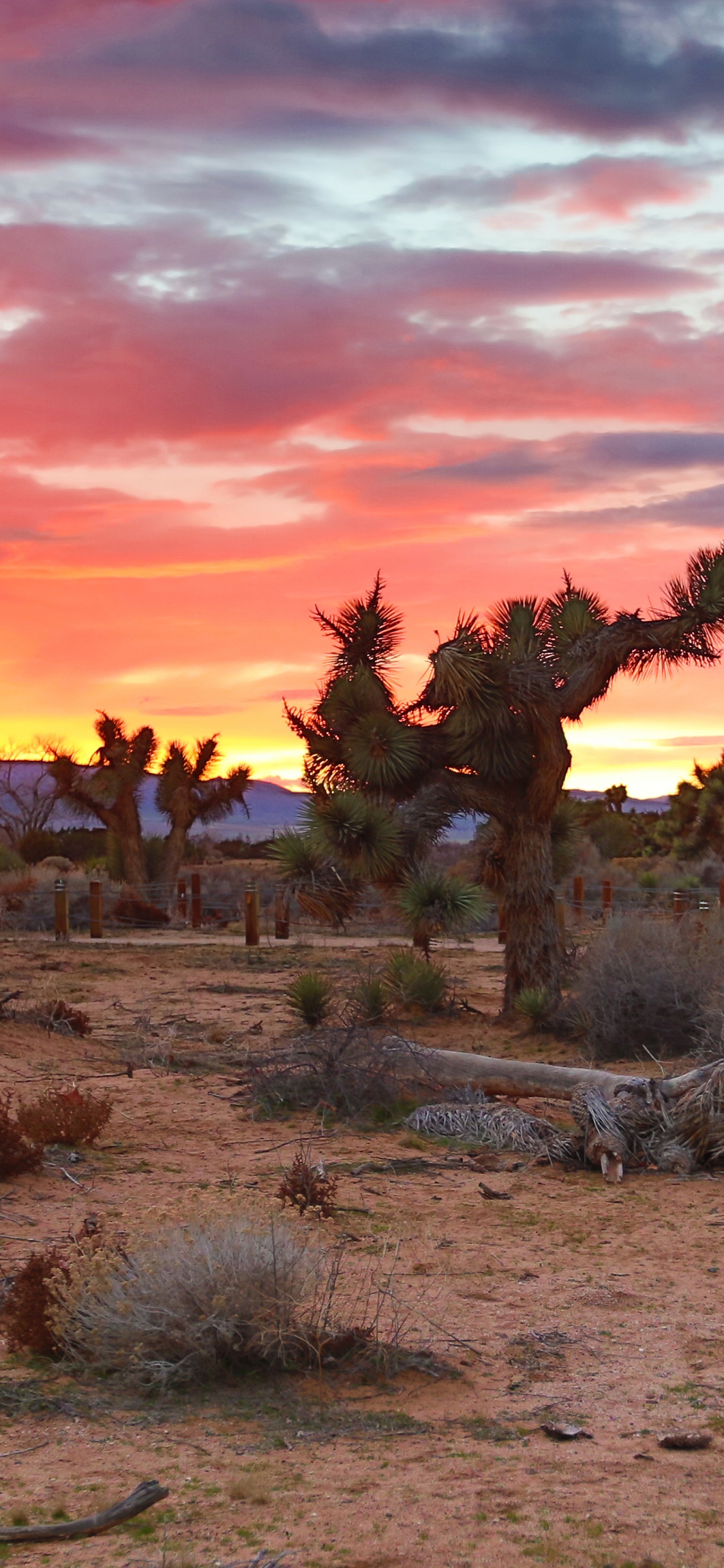 Обои Долины Антилопы, закат, пустыня, природа, природный ландшафт в разрешении 1125x2436