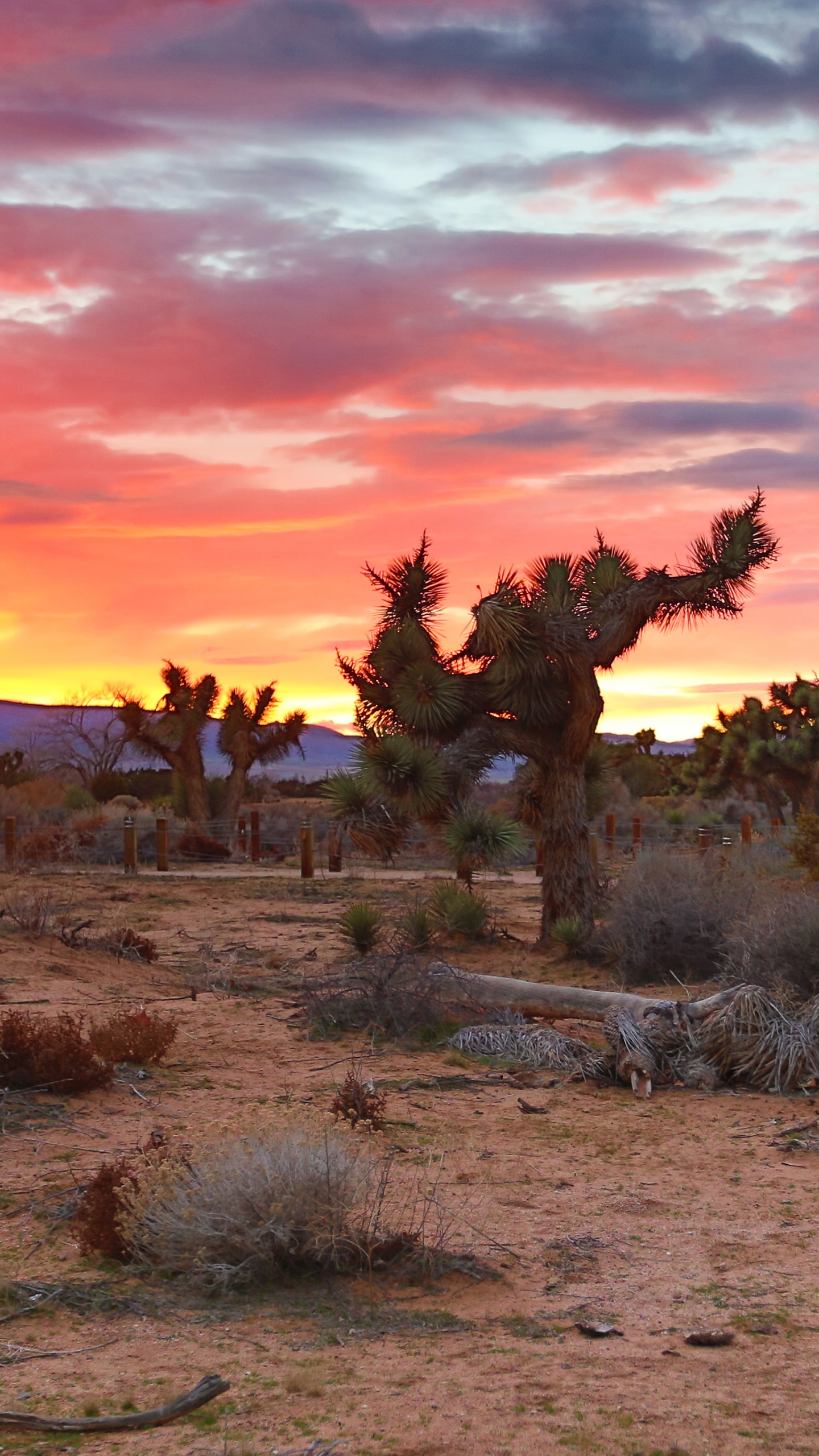 Обои Долины Антилопы, закат, пустыня, природа, природный ландшафт в разрешении 1440x2560