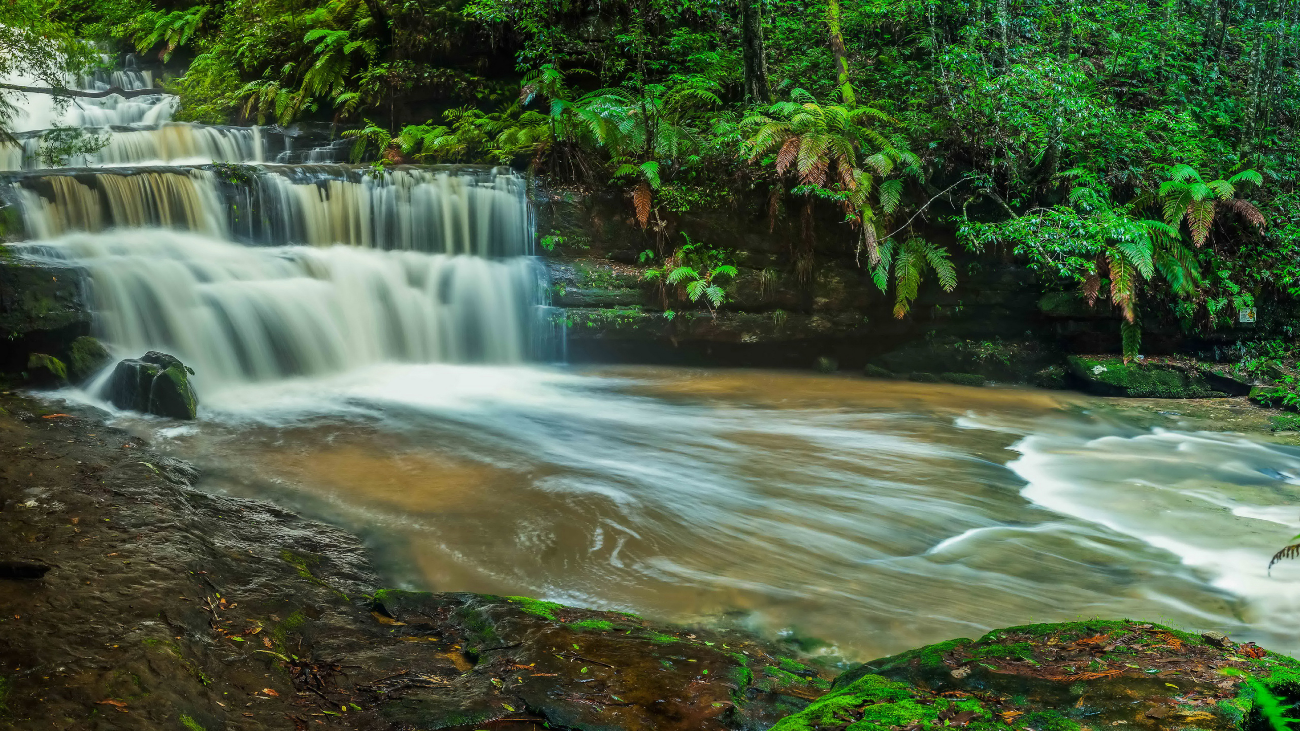 Обои водопад, водоем, гидроресурсы, природа, вода в разрешении 2560x1440