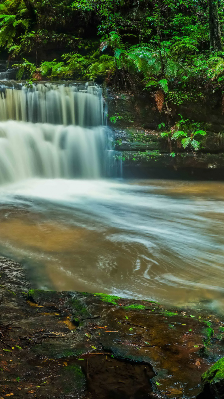 Обои водопад, водоем, гидроресурсы, природа, вода в разрешении 750x1334