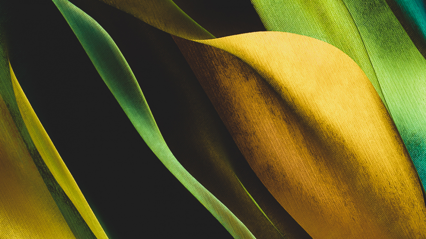 Обои крупный план, биология, наука, ткань, прямоугольник в разрешении 1366x768