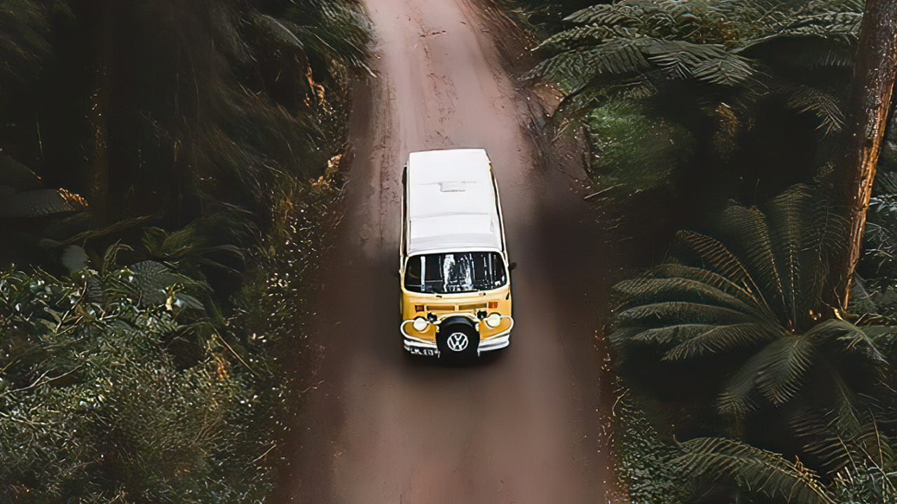 Обои старинный автомобиль, сплочение, легковые автомобили, шина, растение в разрешении 1280x720