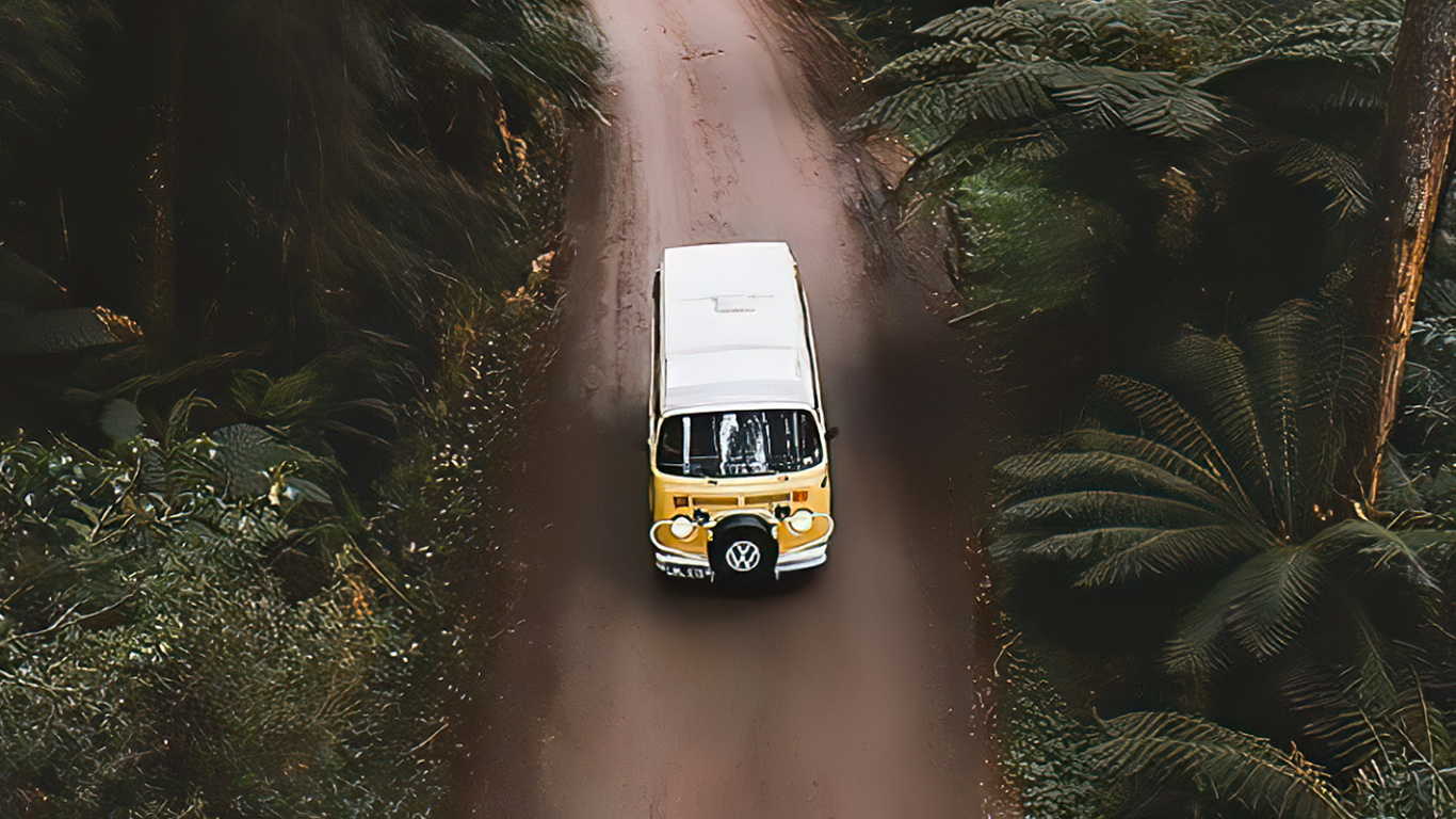 Обои старинный автомобиль, сплочение, легковые автомобили, шина, растение в разрешении 1366x768