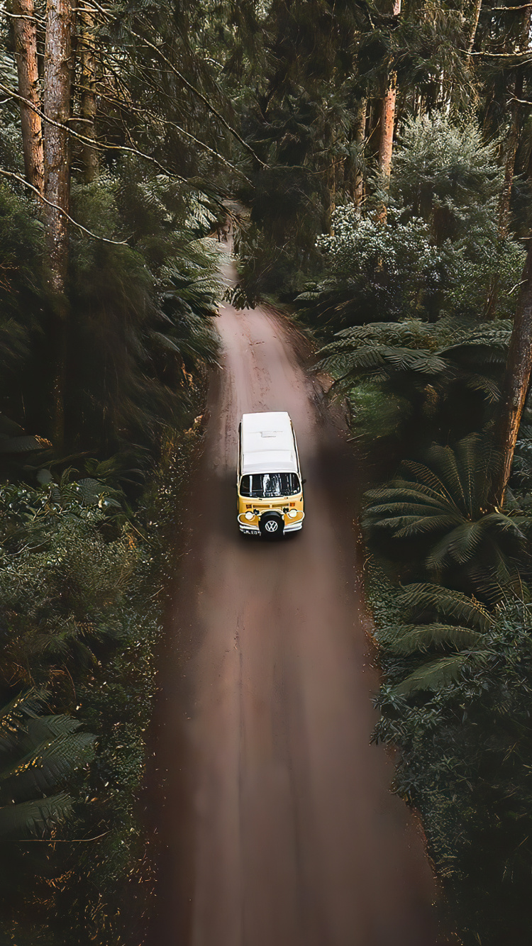 Обои старинный автомобиль, сплочение, легковые автомобили, шина, растение в разрешении 750x1334