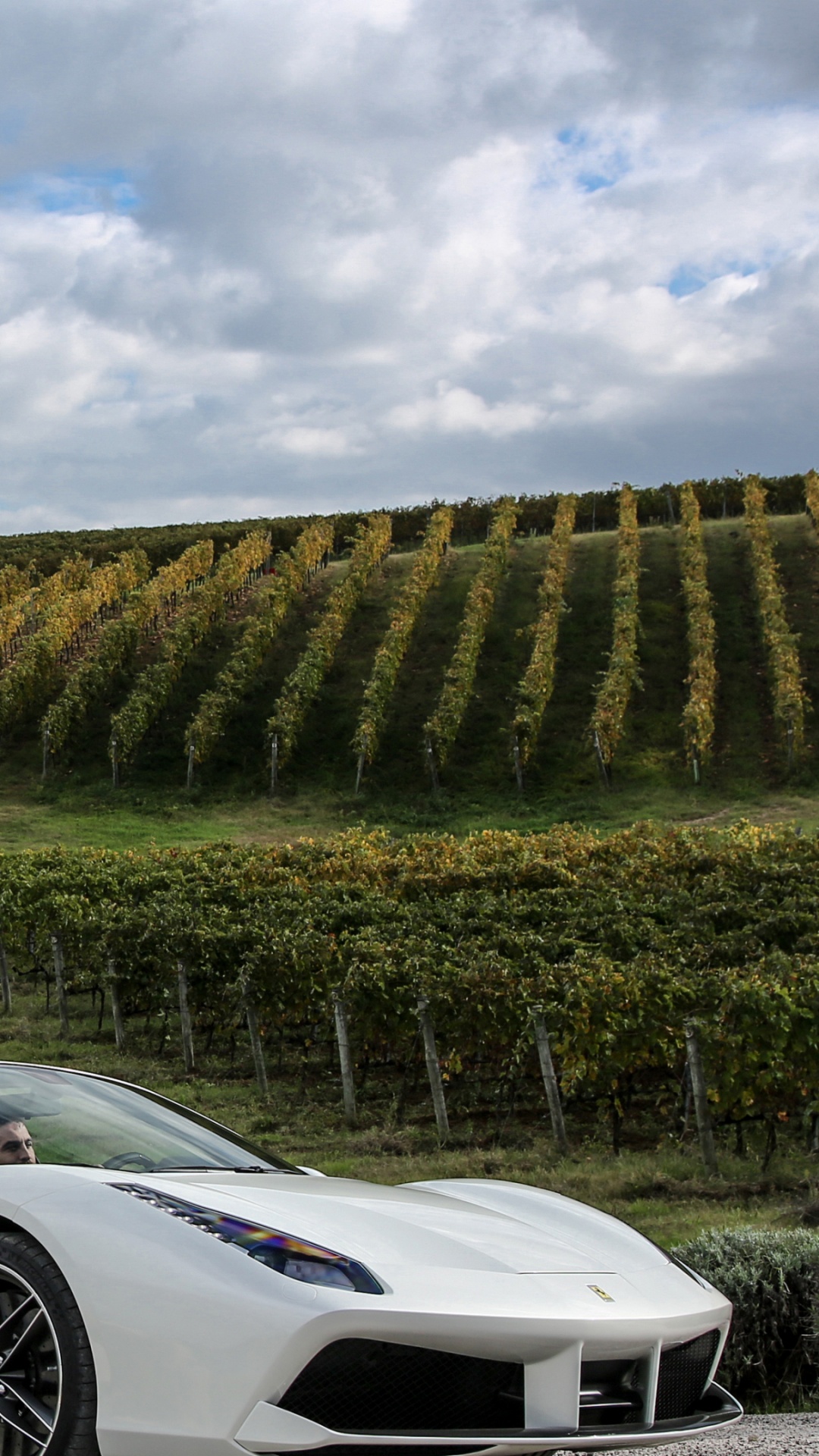 Обои спорткар, Феррари 458 Спайдер, суперкар, автомобильный дизайн, растение в разрешении 1080x1920