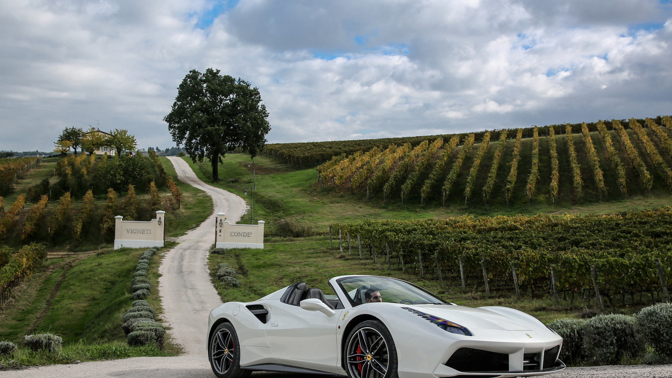 Ferrari 458 Green