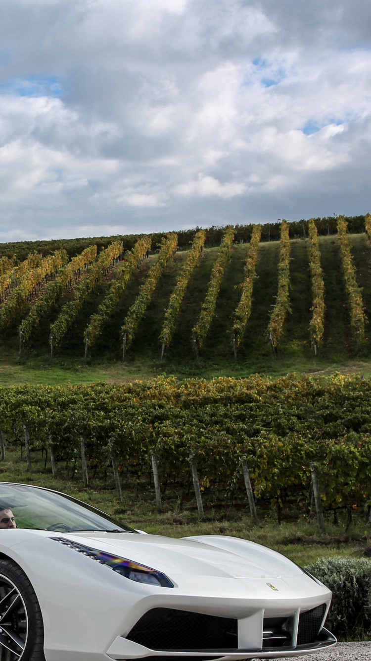 Обои спорткар, Феррари 458 Спайдер, суперкар, автомобильный дизайн, растение в разрешении 750x1334