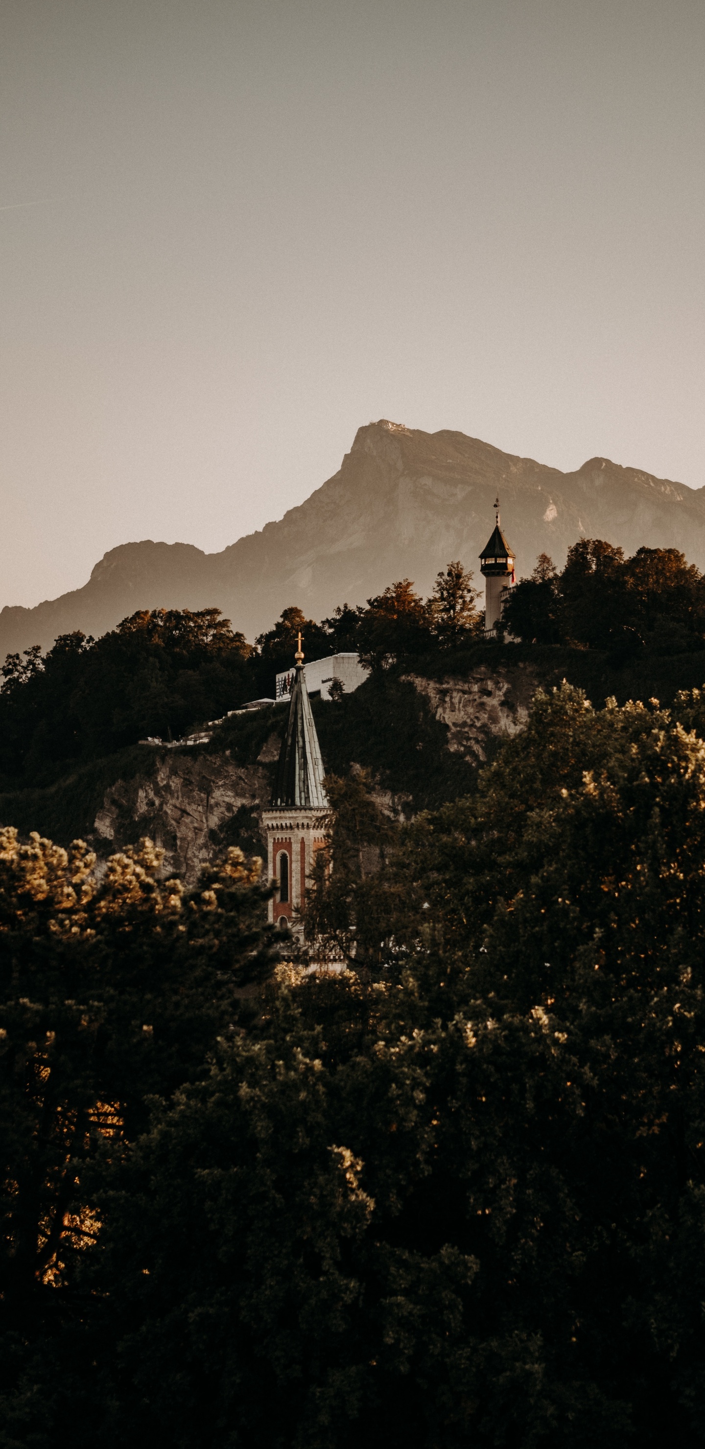 Обои гора, дерево, холм, облако, атмосфера в разрешении 1440x2960