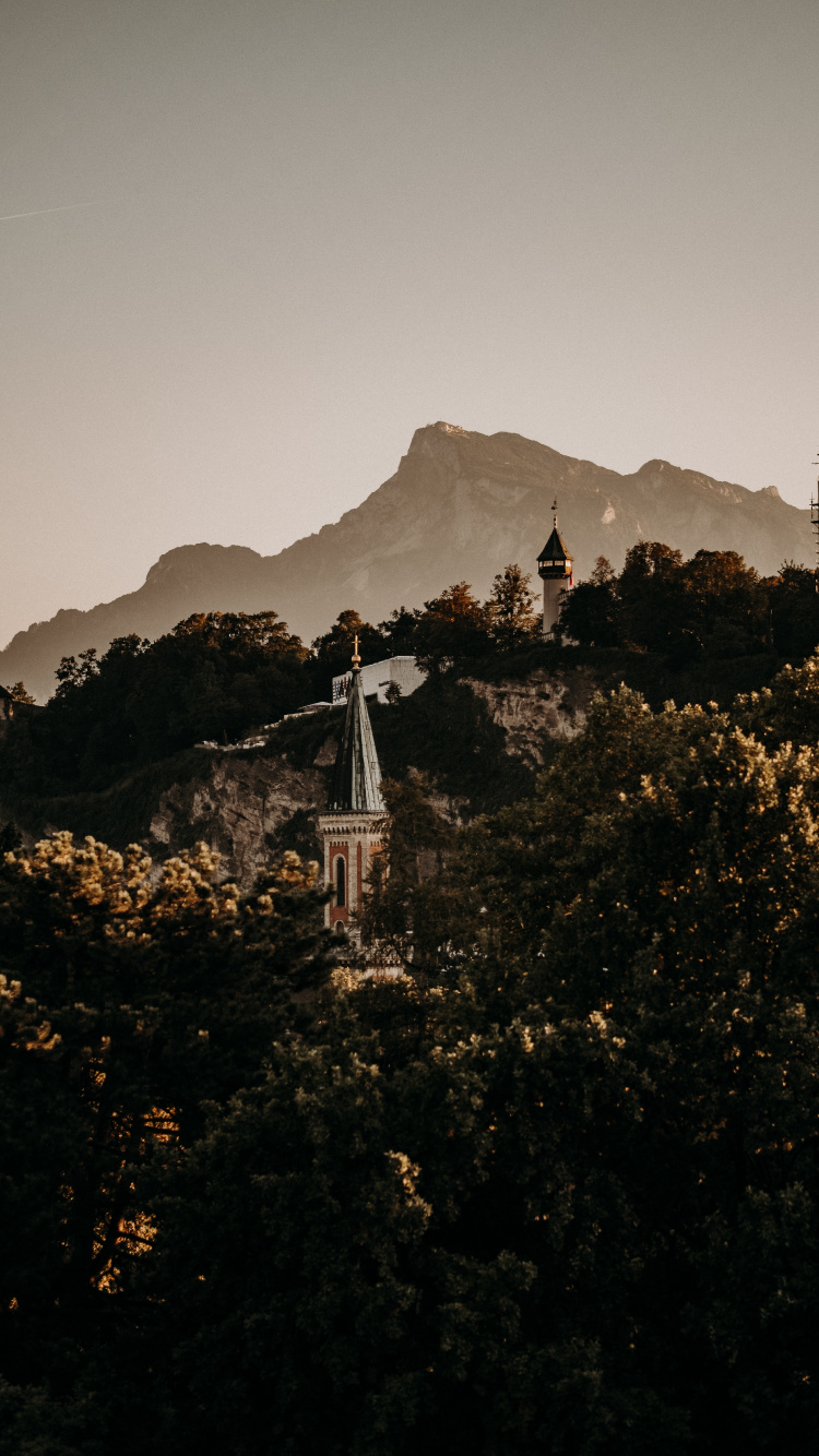 Обои гора, дерево, холм, облако, атмосфера в разрешении 750x1334