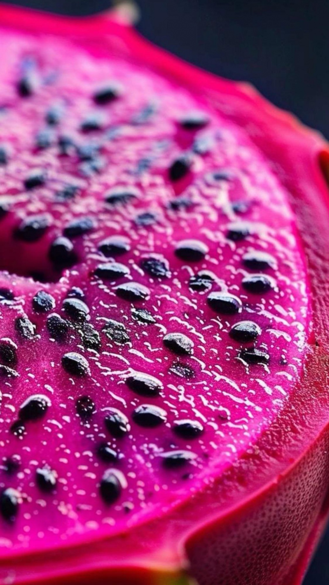 Обои крупный план, вода, лепесток, пурпур, наземное растение в разрешении 1080x1920