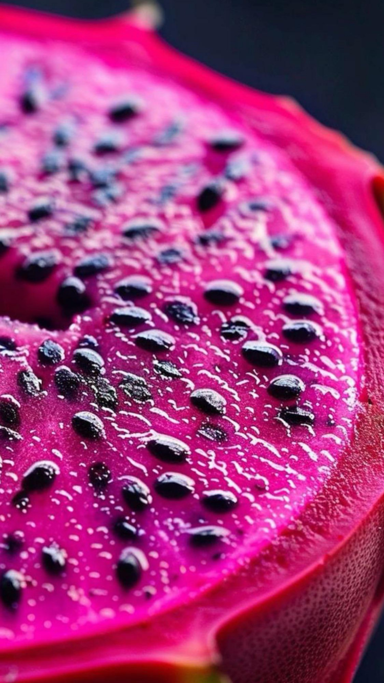 Обои крупный план, вода, лепесток, пурпур, наземное растение в разрешении 750x1334