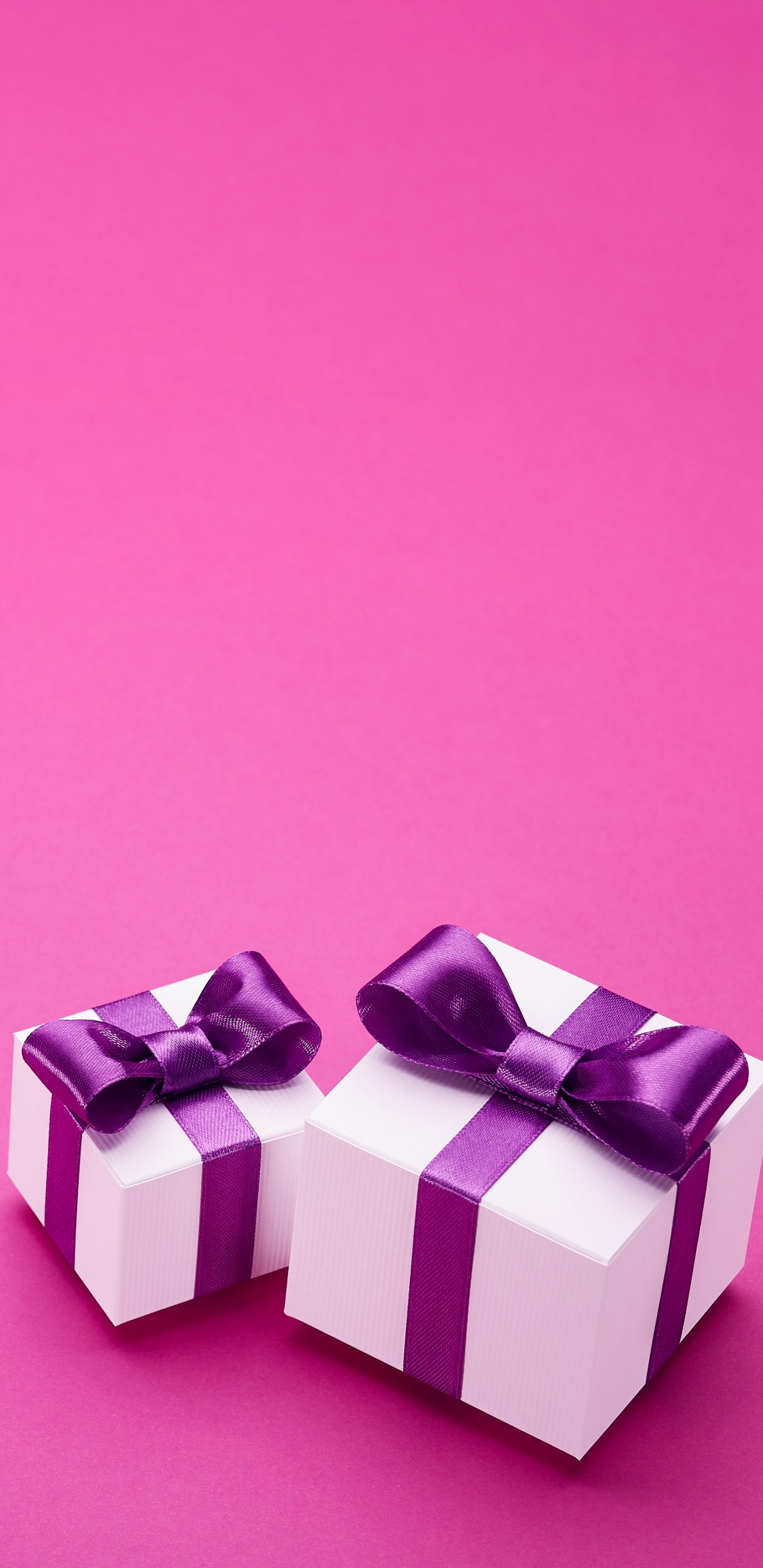 Обои розовый, настоящее время, пурпур, пурпурный цвет, Фиолетовый в разрешении 1440x2960