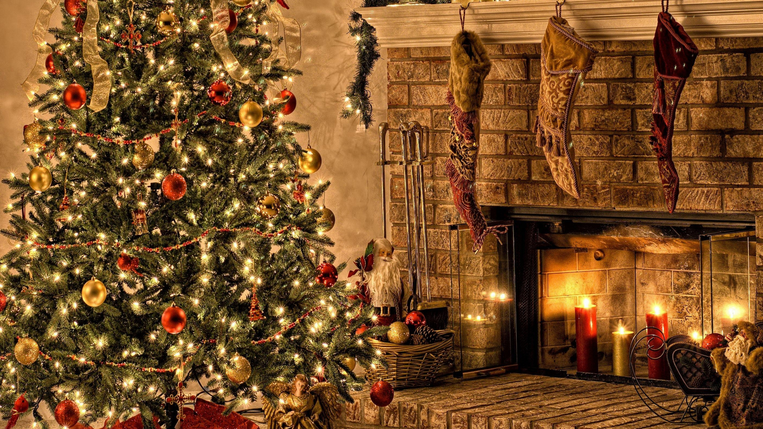 Обои елка, Рождественские украшения, Рождество, пихта, ель в разрешении 2560x1440
