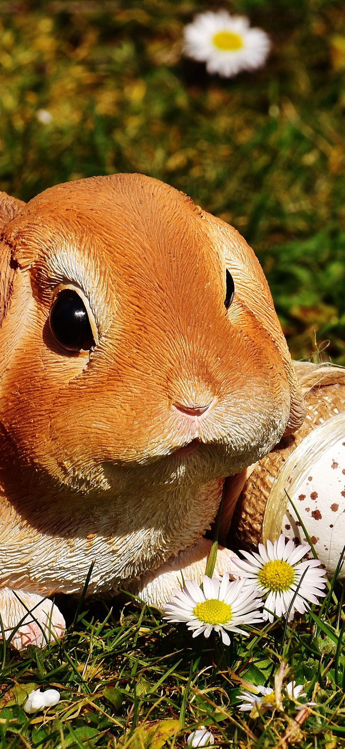 Обои пасхальный кролик, кролик, заяц, пасхальное яйцо, растение в разрешении 1125x2436