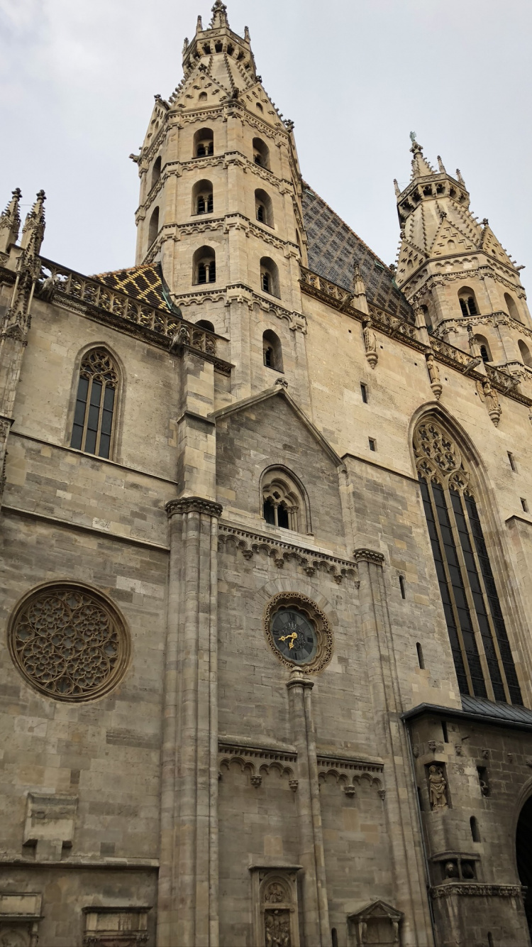 Обои Собор Святого Стефана, архитектура, фасад, место поклонения, часовня в разрешении 750x1334