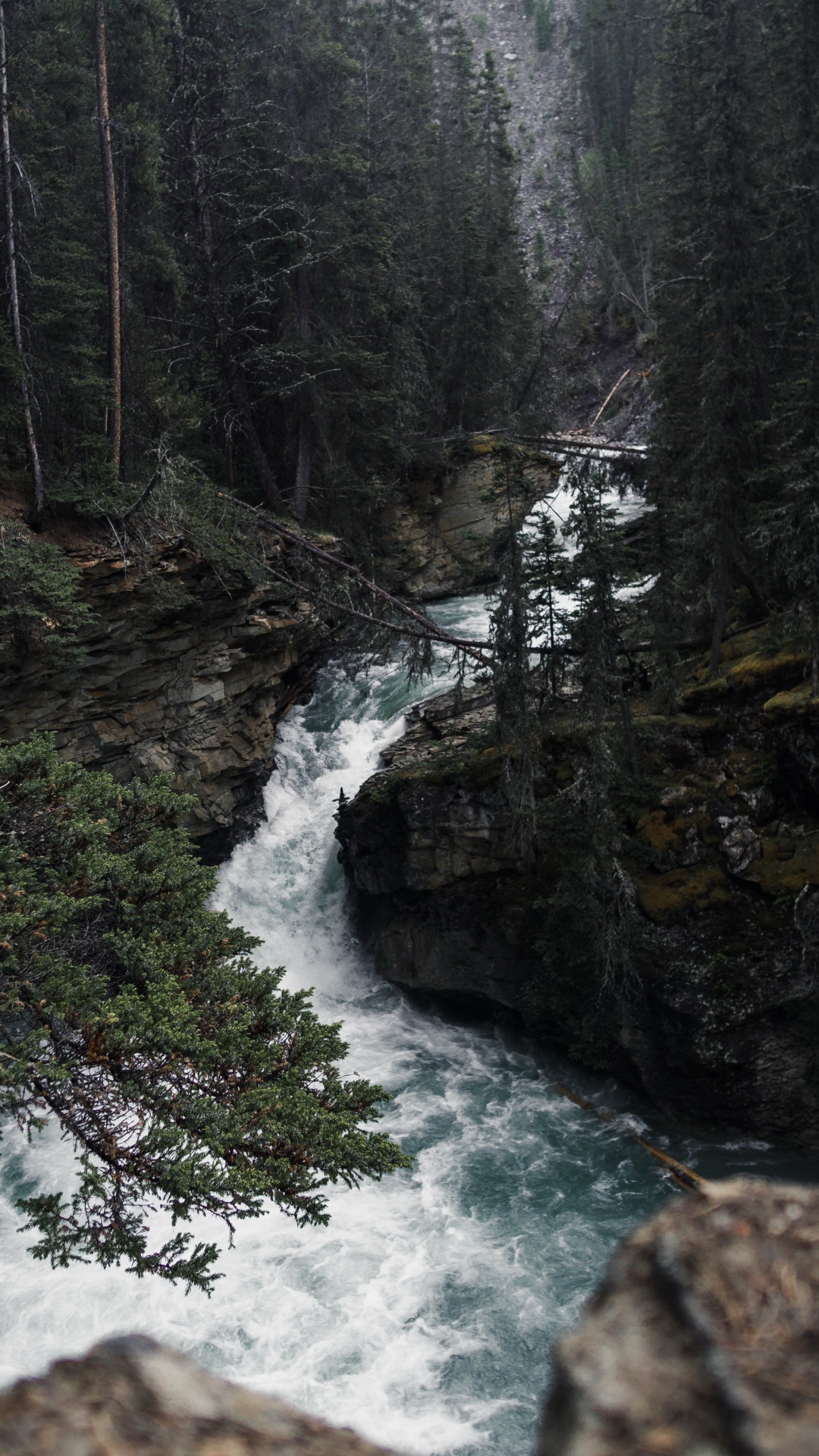 Обои природа, вода, гидроресурсы, растение, природный ландшафт в разрешении 1080x1920