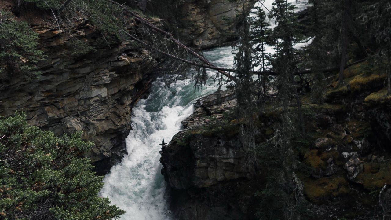 Обои природа, вода, гидроресурсы, растение, природный ландшафт в разрешении 1280x720