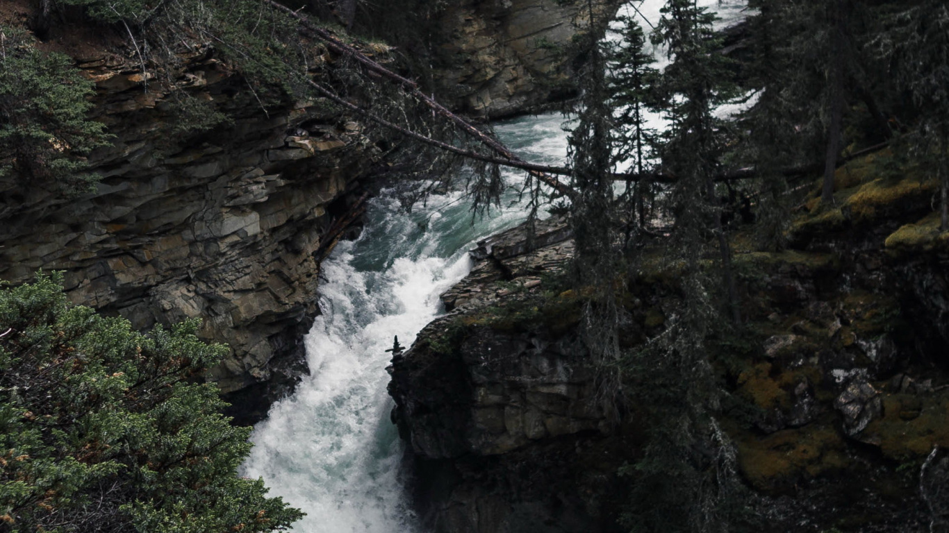 Обои природа, вода, гидроресурсы, растение, природный ландшафт в разрешении 1366x768